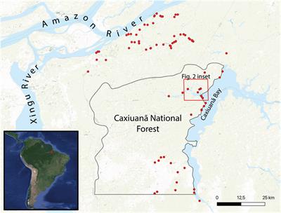 Stable isotope ecology of terra preta in Caxiuanã National Forest, Brazil